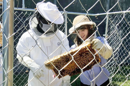 Beekeeping instructor with resident